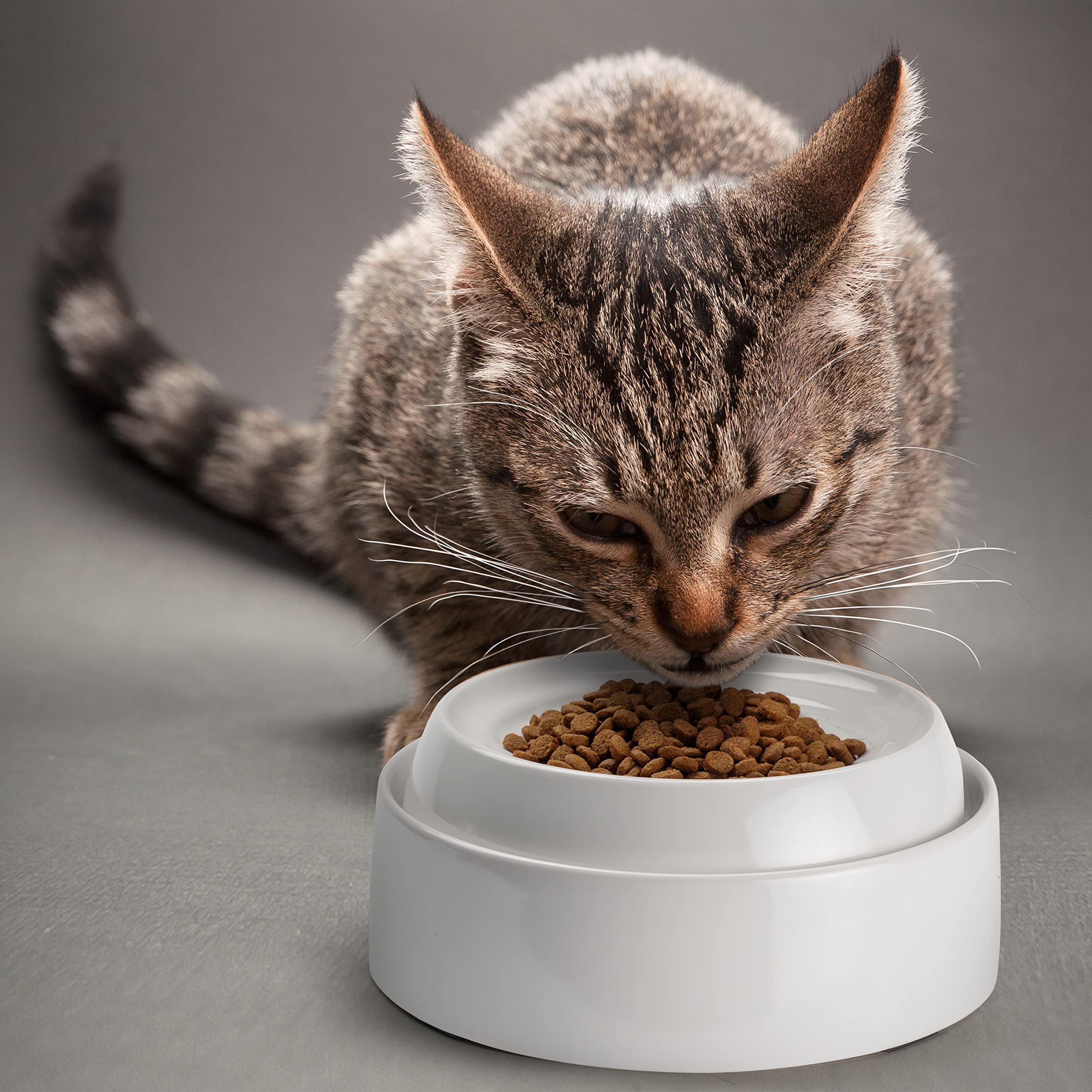 CatGuru marshmallow-pack2 bowls keep meals organized.