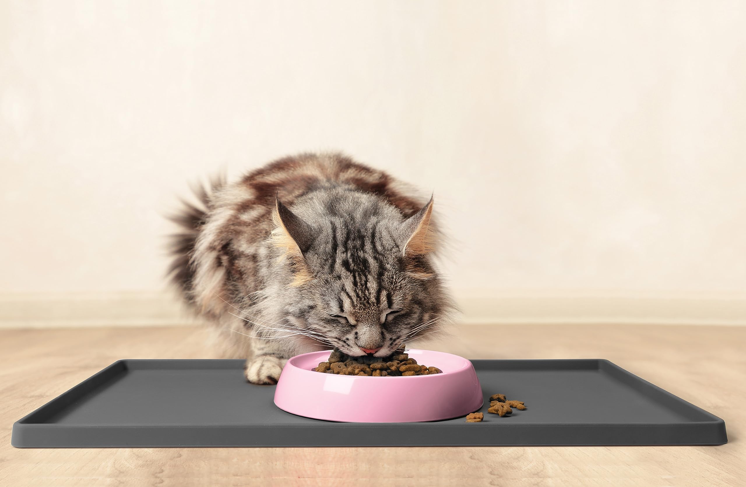 CatGuru pink bowls are dishwasher safe and easy to clean