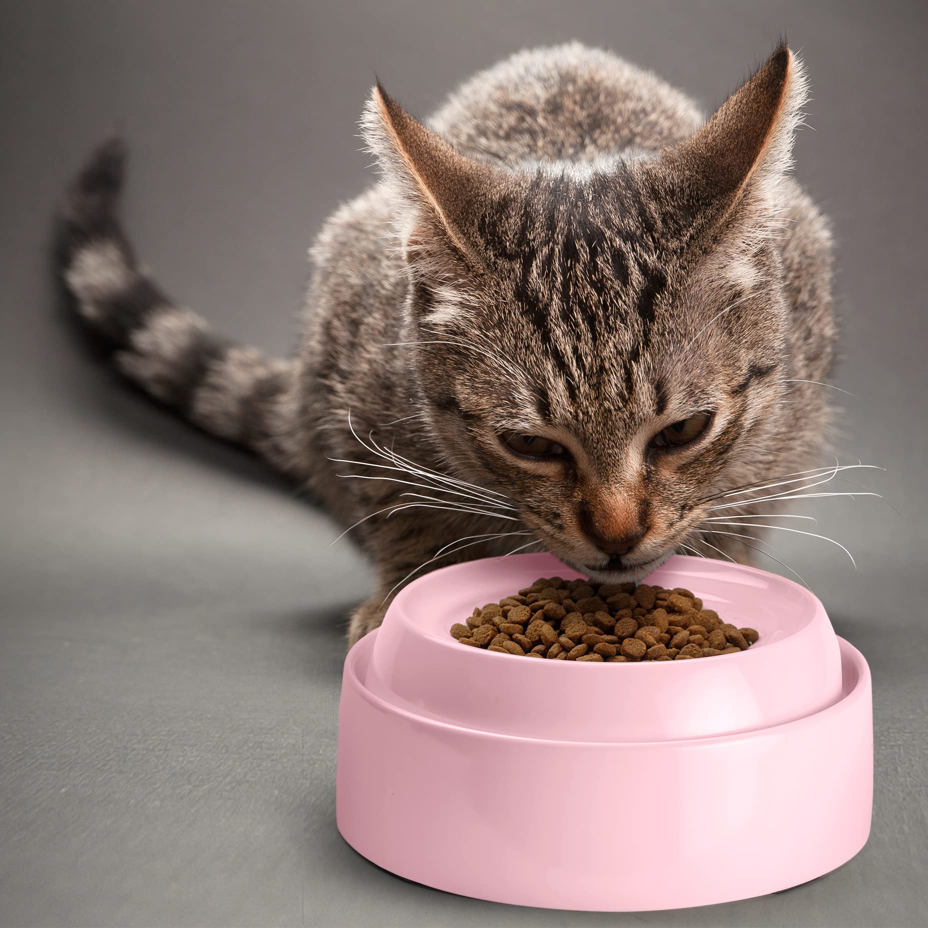 CatGuru pink bowls ideal for kittens and small meals