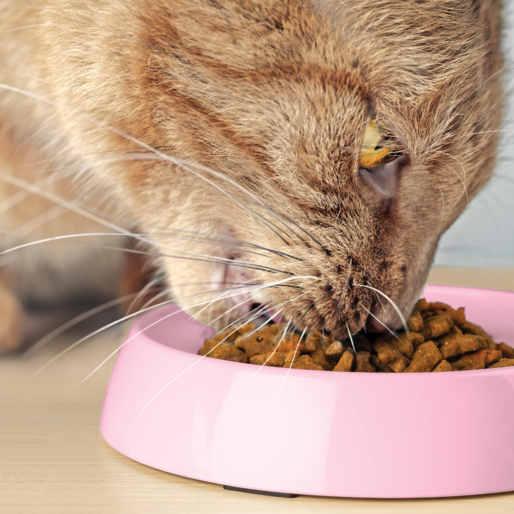 CatGuru pink pack of 2 bowls offers value and convenience