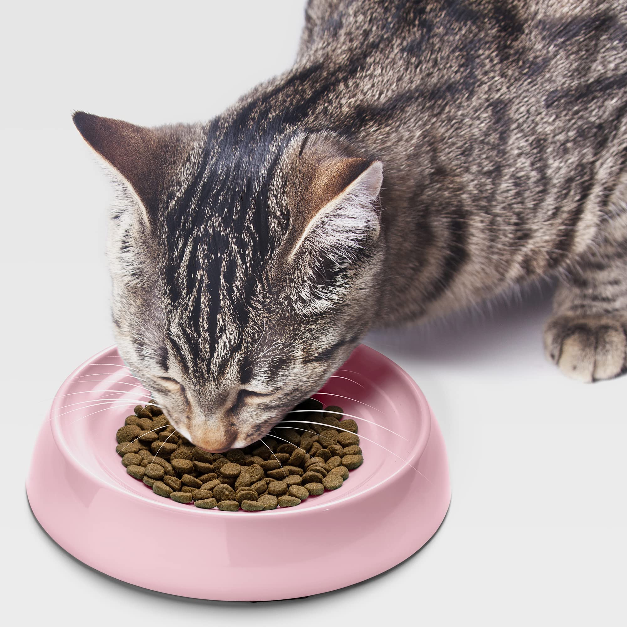CatGuru pink bowls made from safe materials for pets