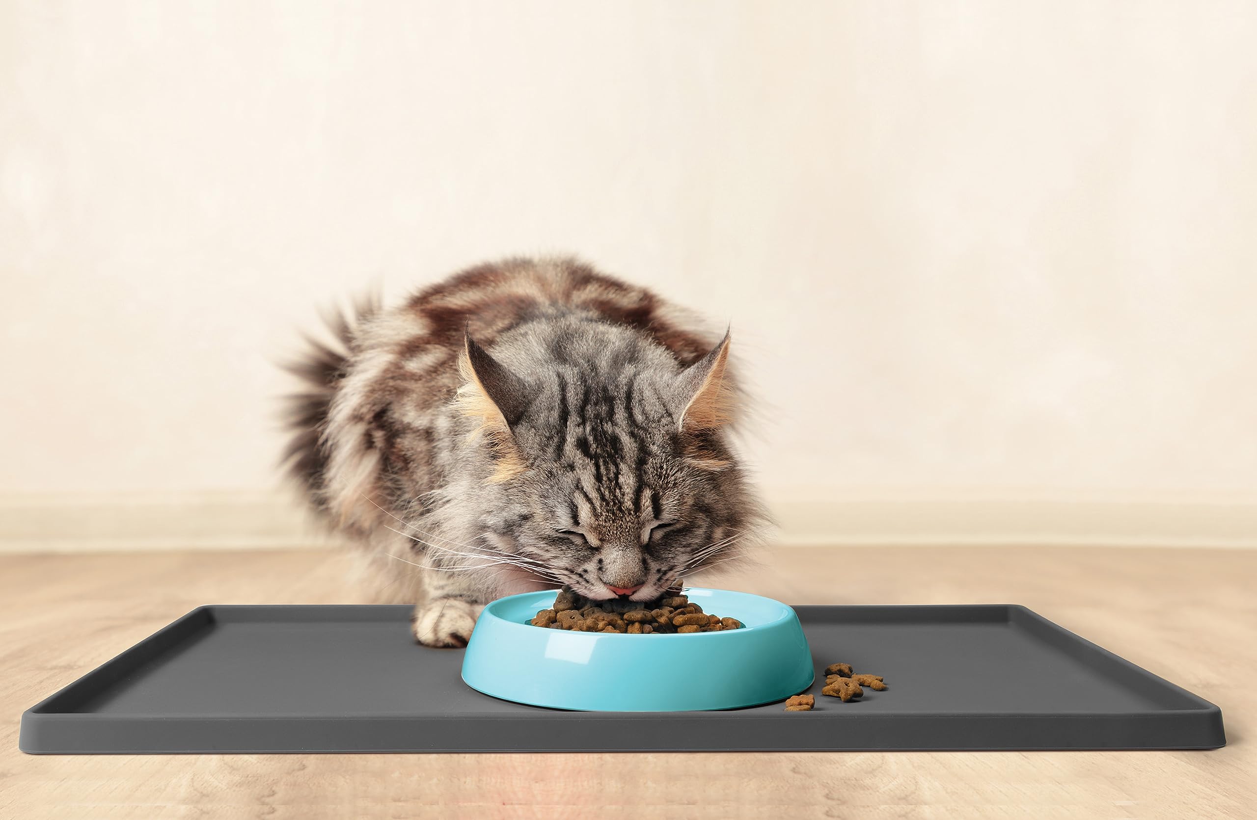 CatGuru 5-ounce capacity supports portion control.