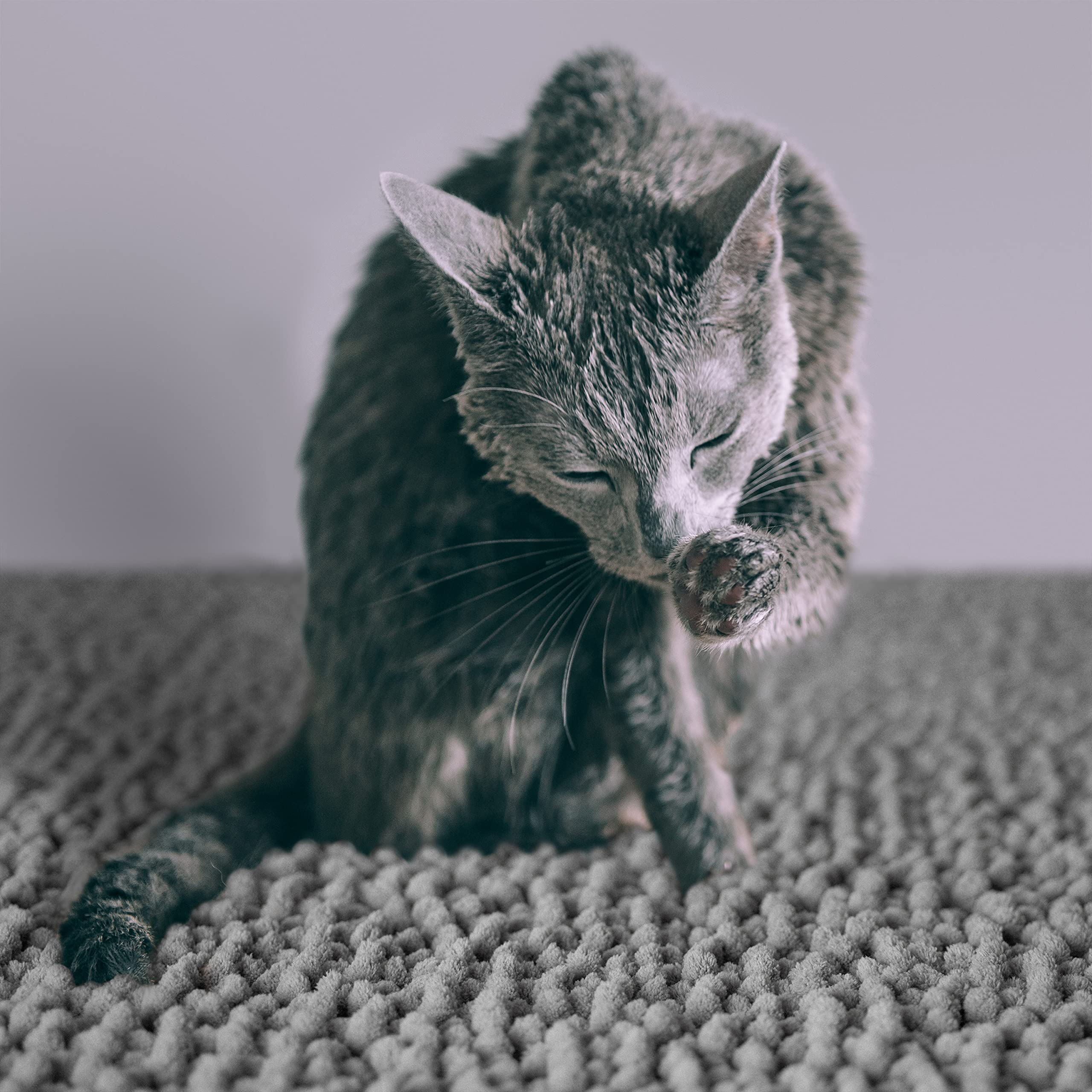 CatGuru easy-clean-fold-shake design makes litter cleanup simple.