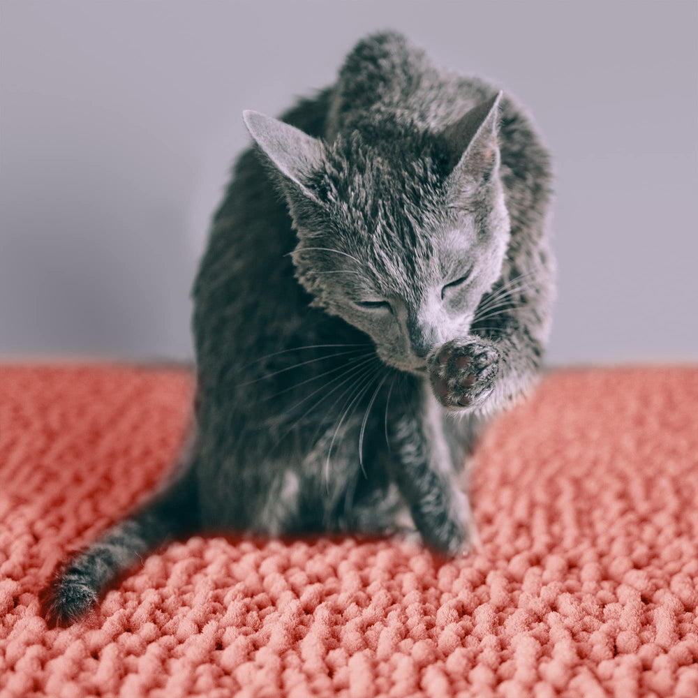 CatGuru Litter Mat XL coral waterproof backing protects floors.