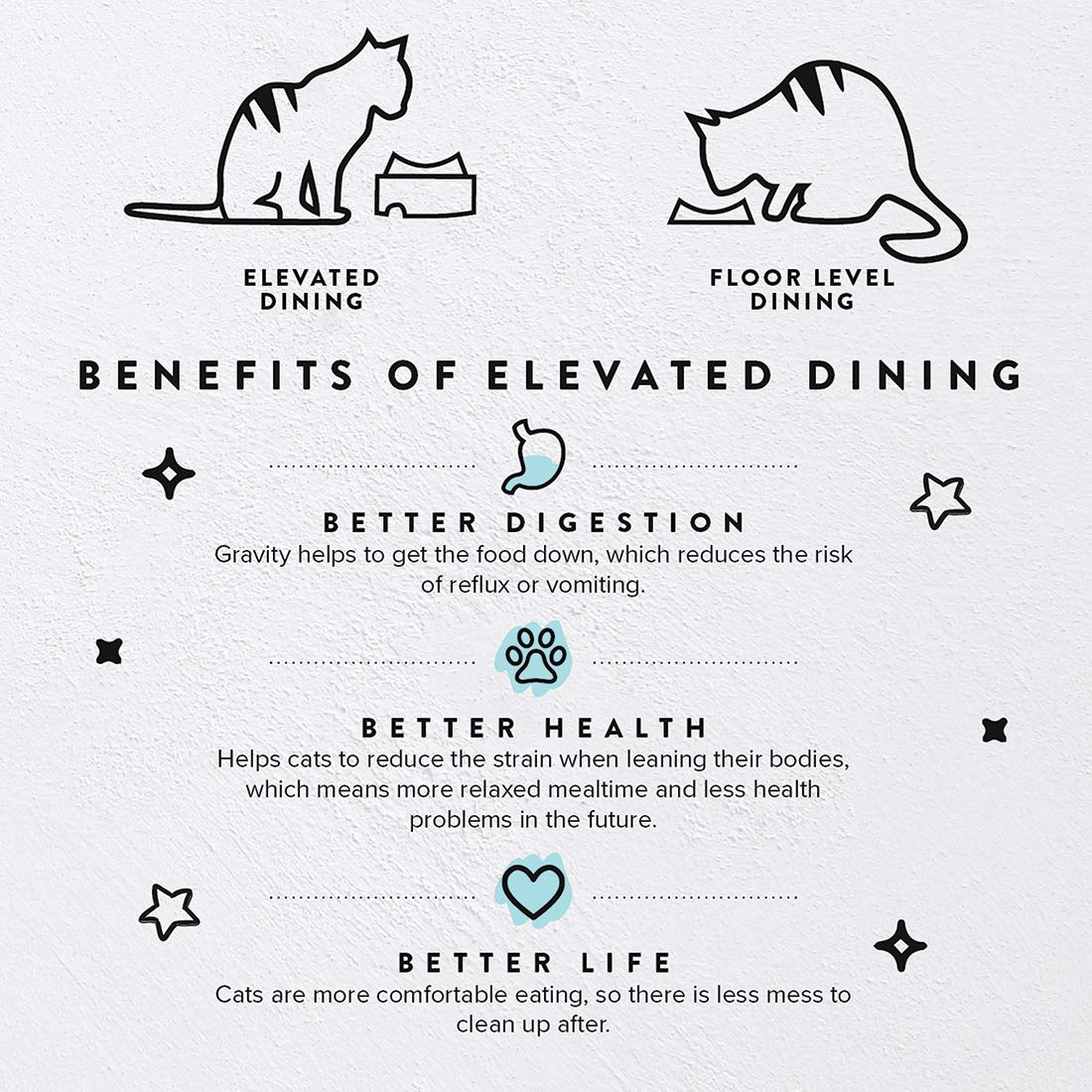CatGuru elevated feeding stand supports bowls to reduce neck strain.