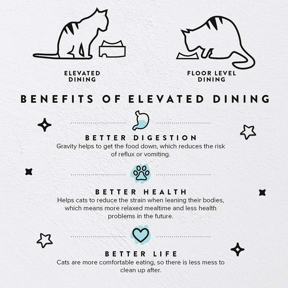 CatGuru elevated feeding stand supports bowls to reduce neck strain.