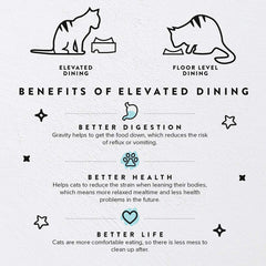CatGuru elevated feeding stand supports bowls to reduce neck strain.