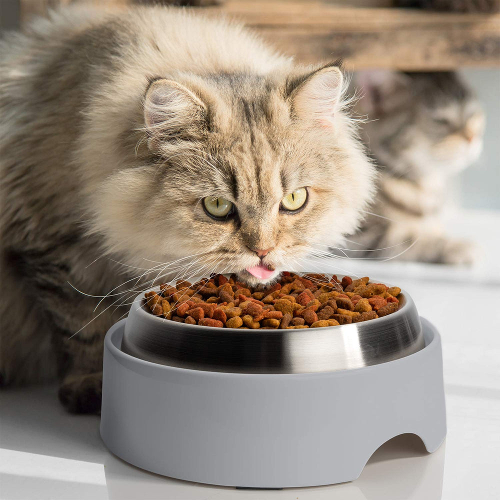 CatGuru grey finish completes a calm, home-ready feeding setup.