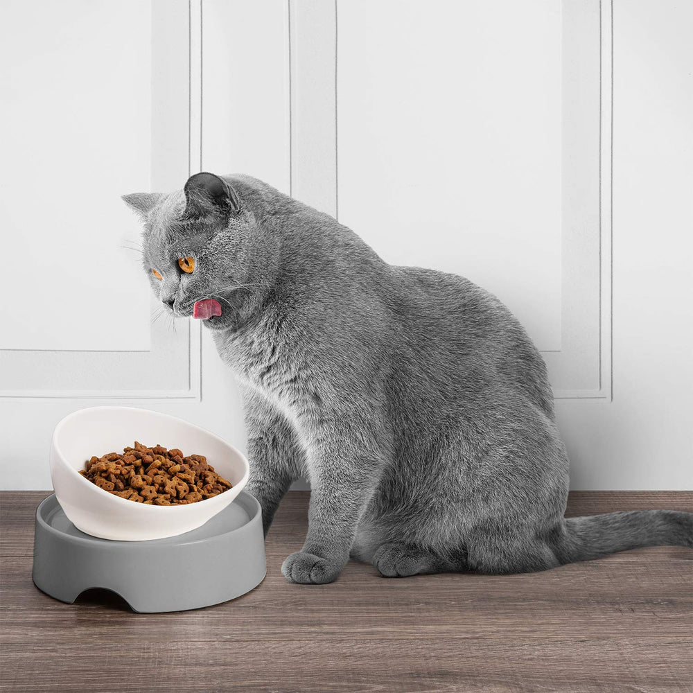 CatGuru indoor cat feeder simplifies daily meals for busy homes.
