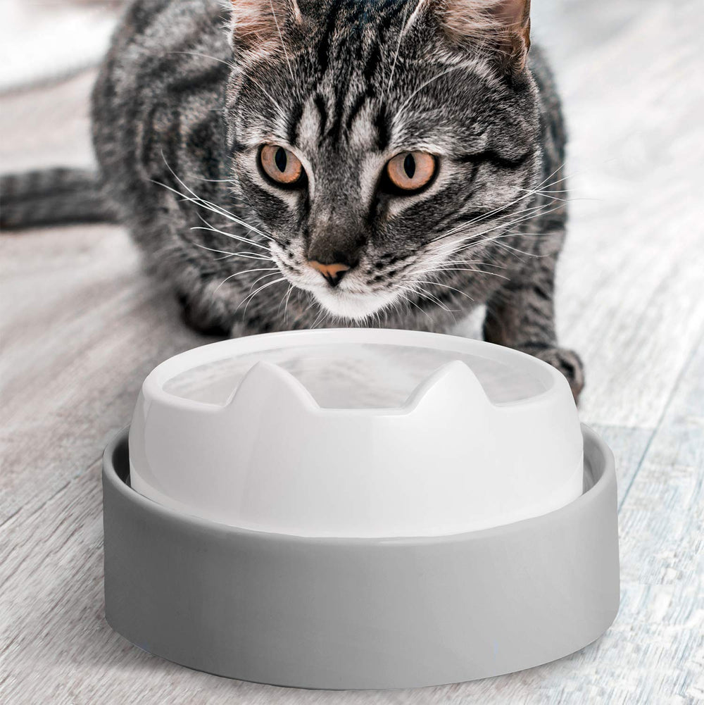 CatGuru spill-free feeding helps keep floors clean after meals.