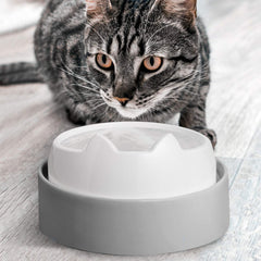 CatGuru spill-free feeding helps keep floors clean after meals.