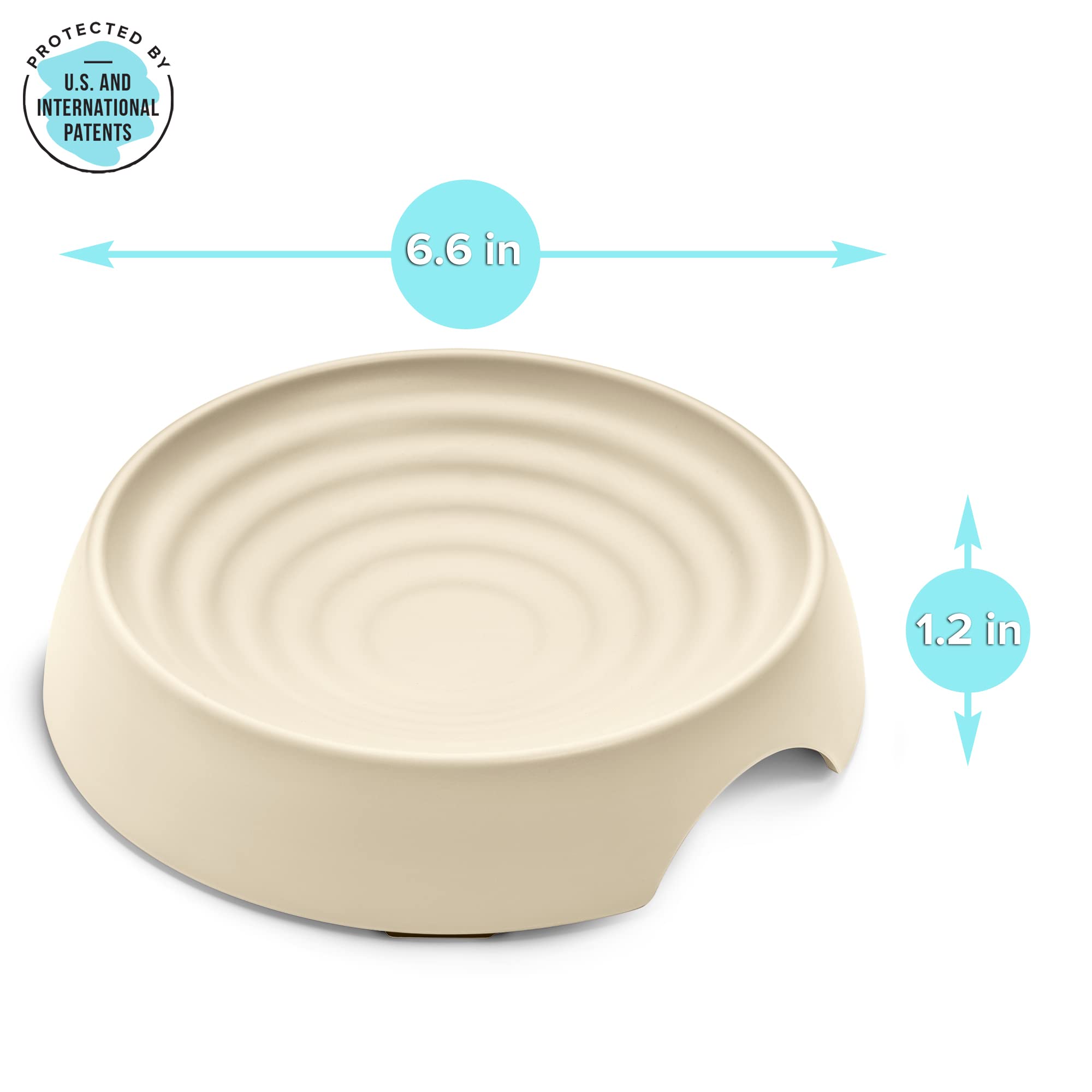 CatGuru wide kitten dish provides easy access for indoor cats.