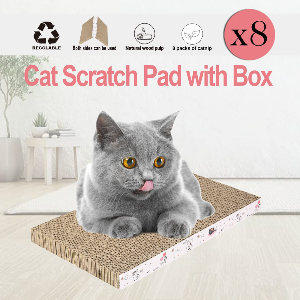 Catinarla packaging and value kit highlighting eco-friendly packaging.