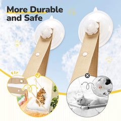 Catism Upgraded Suction Cups secure a stable perch on glass surfaces.