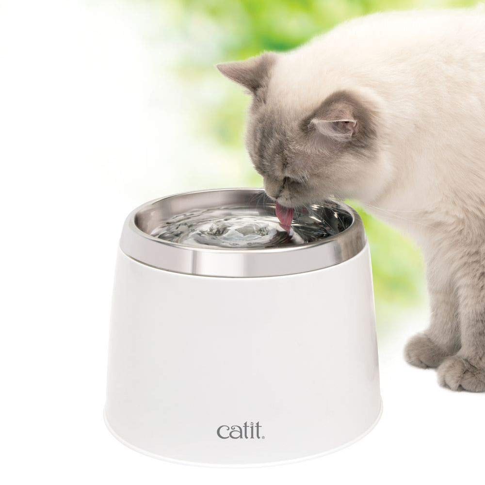 Catit Fresh & Clear water bowl shows a continuous flow to attract drinking.