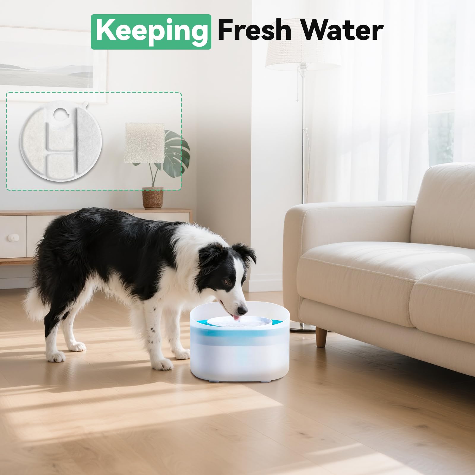CATOL 40-pack soaking before use reduces carbon dust for best results