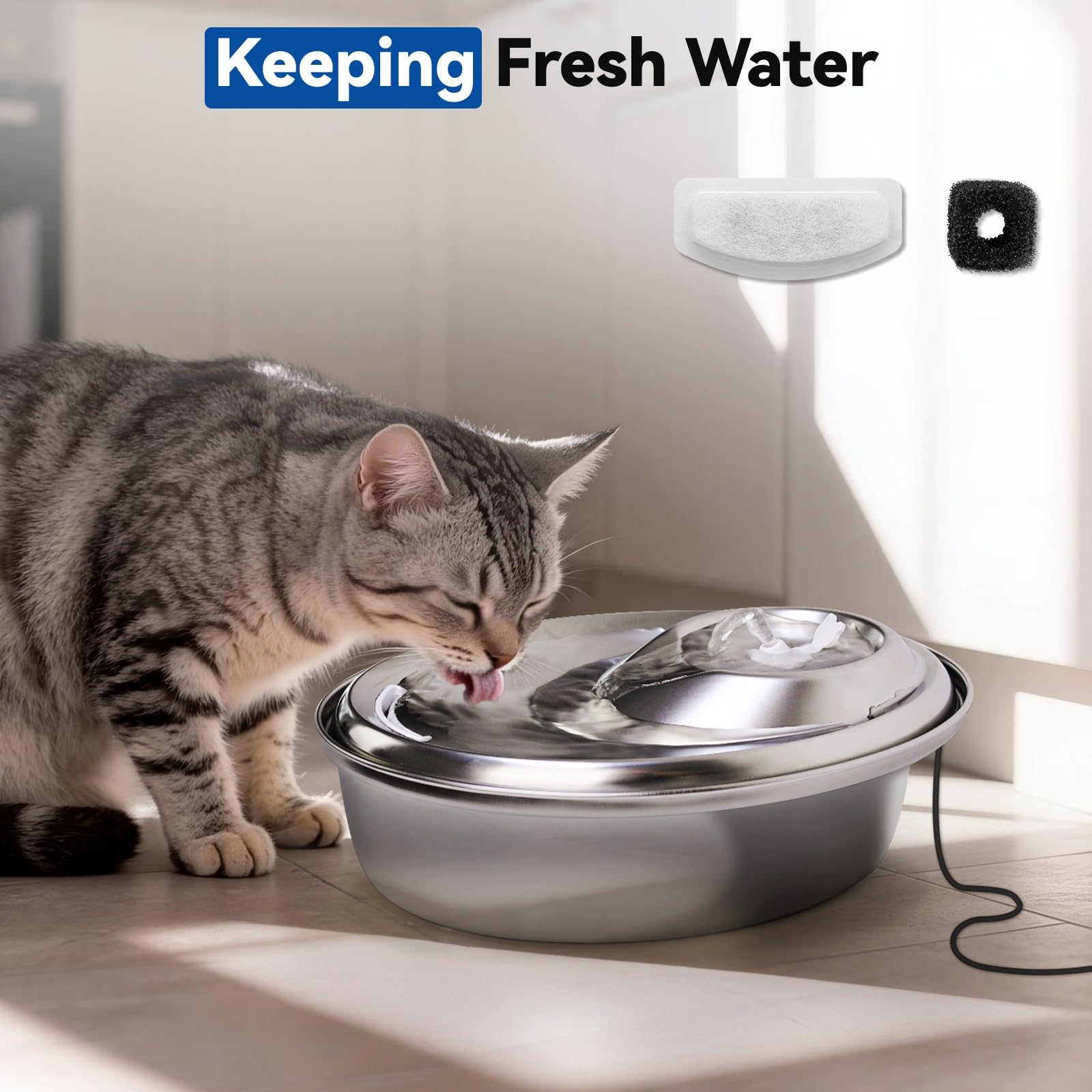 CATOL pet hydration with clearer water from reliable filtration.