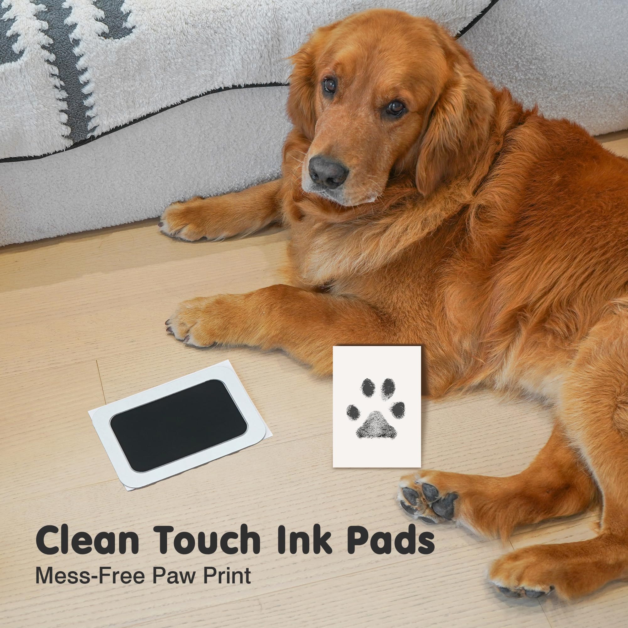 catose inkless paw print kit baby handprint on card for memory