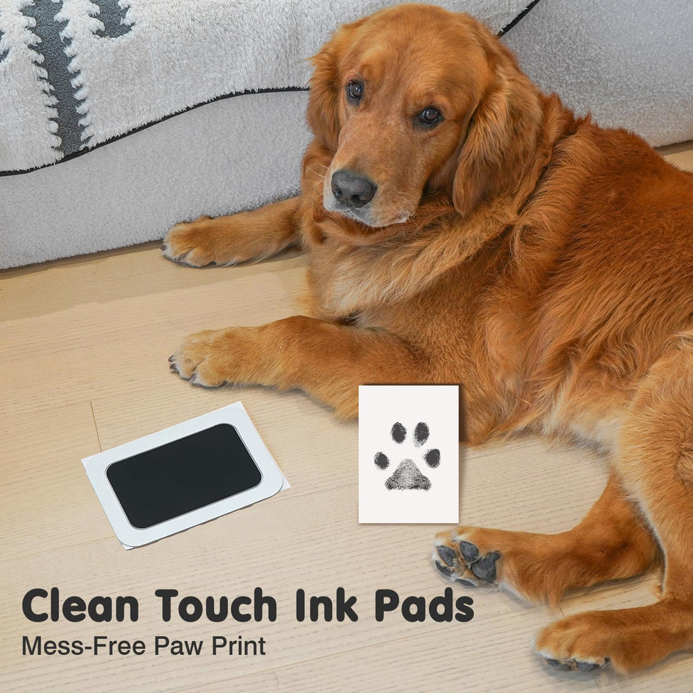 Catose inkless paw print kit with frame displays pet prints stylishly.