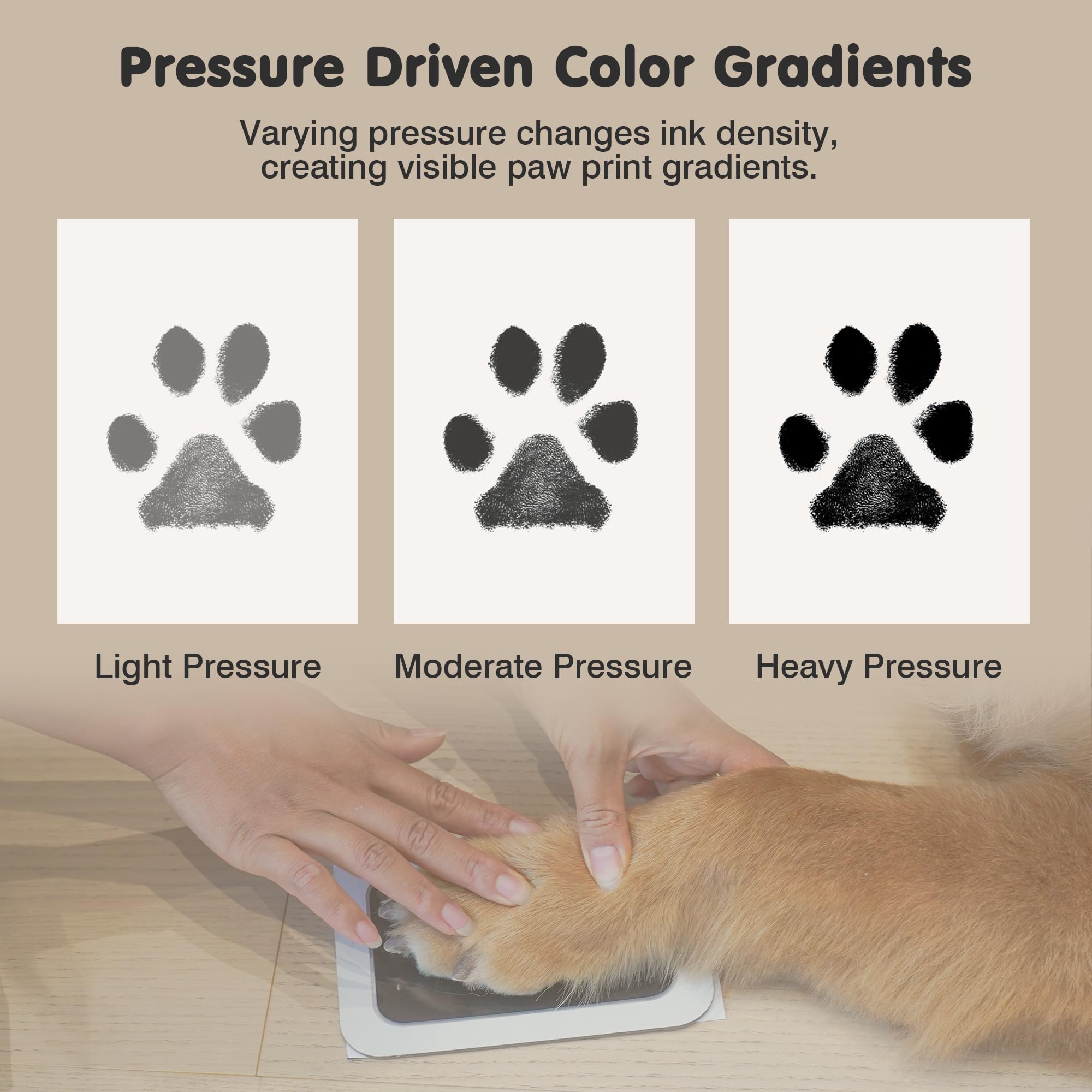 Unboxing kit includes inkless pads, imprint cards, and frames