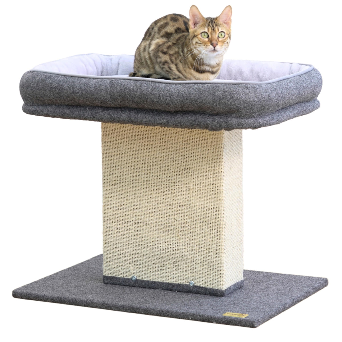 Catry Mellow two-level cat tree provides a sturdy perch for curious cats