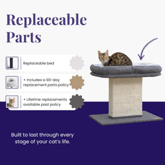 Catry Mellow washable felt bed shown for easy cleaning after play