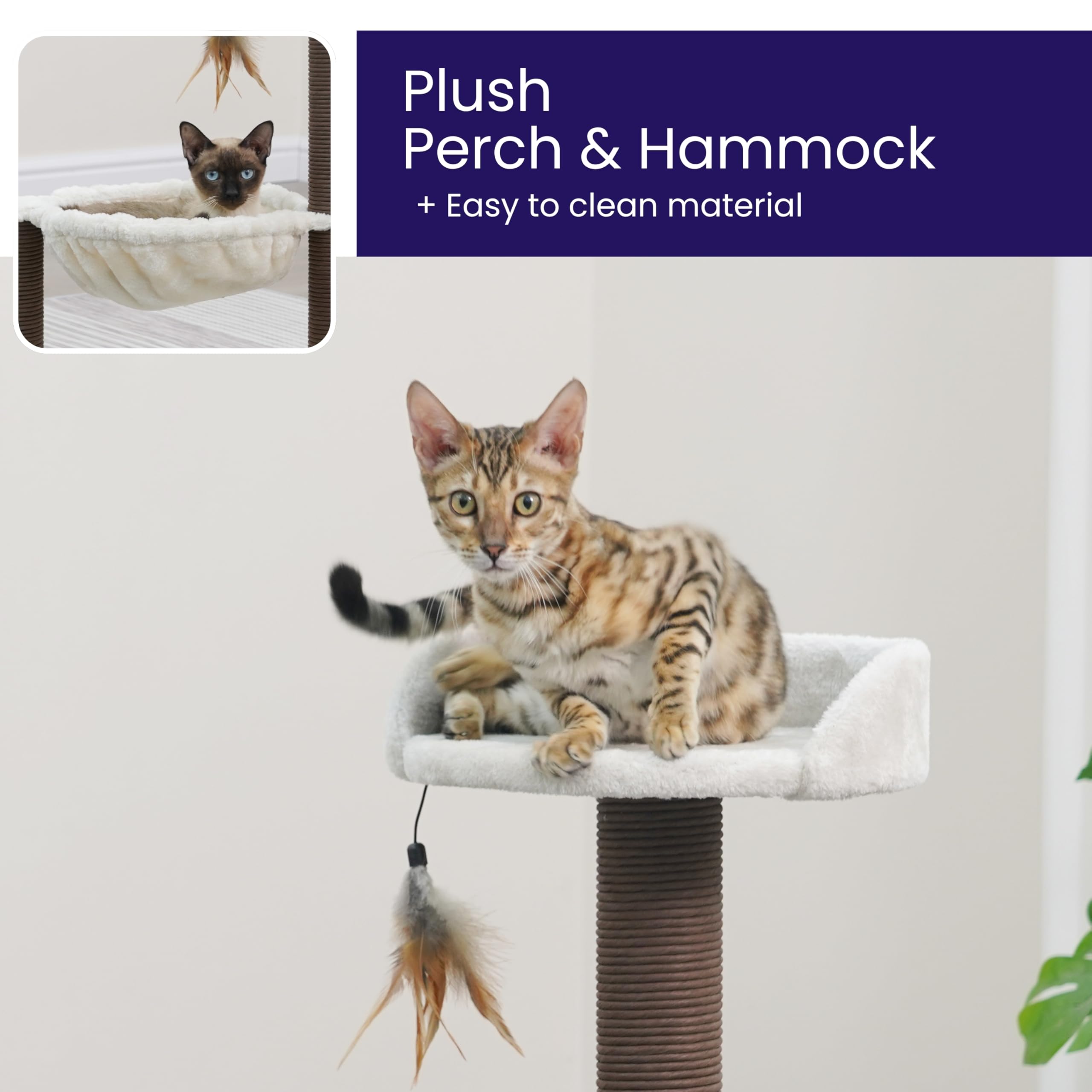 Catry Nirvana feather toy invites active play and learning.