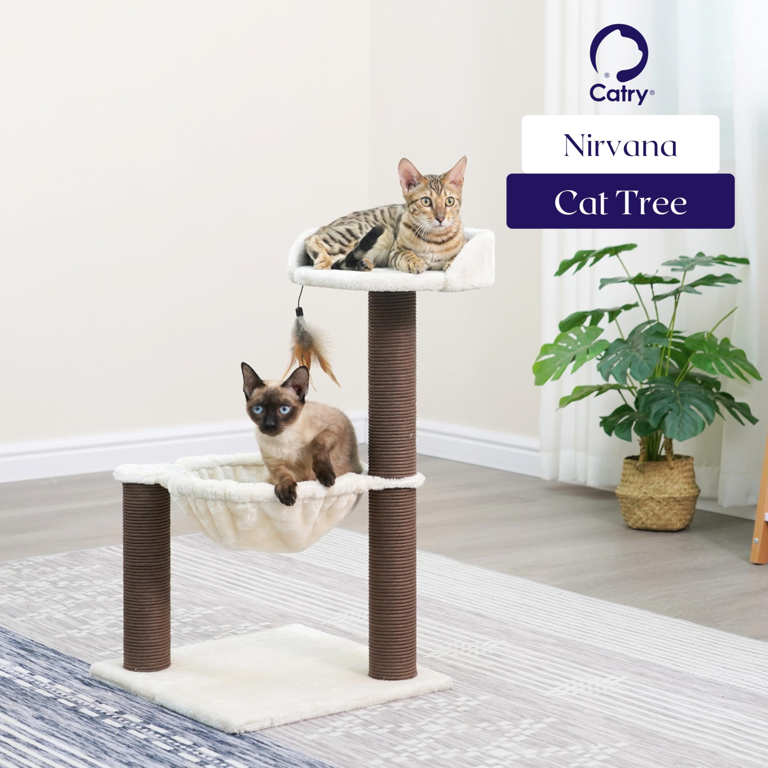 Catry Nirvana in use by a curious kitten enjoying climbing.