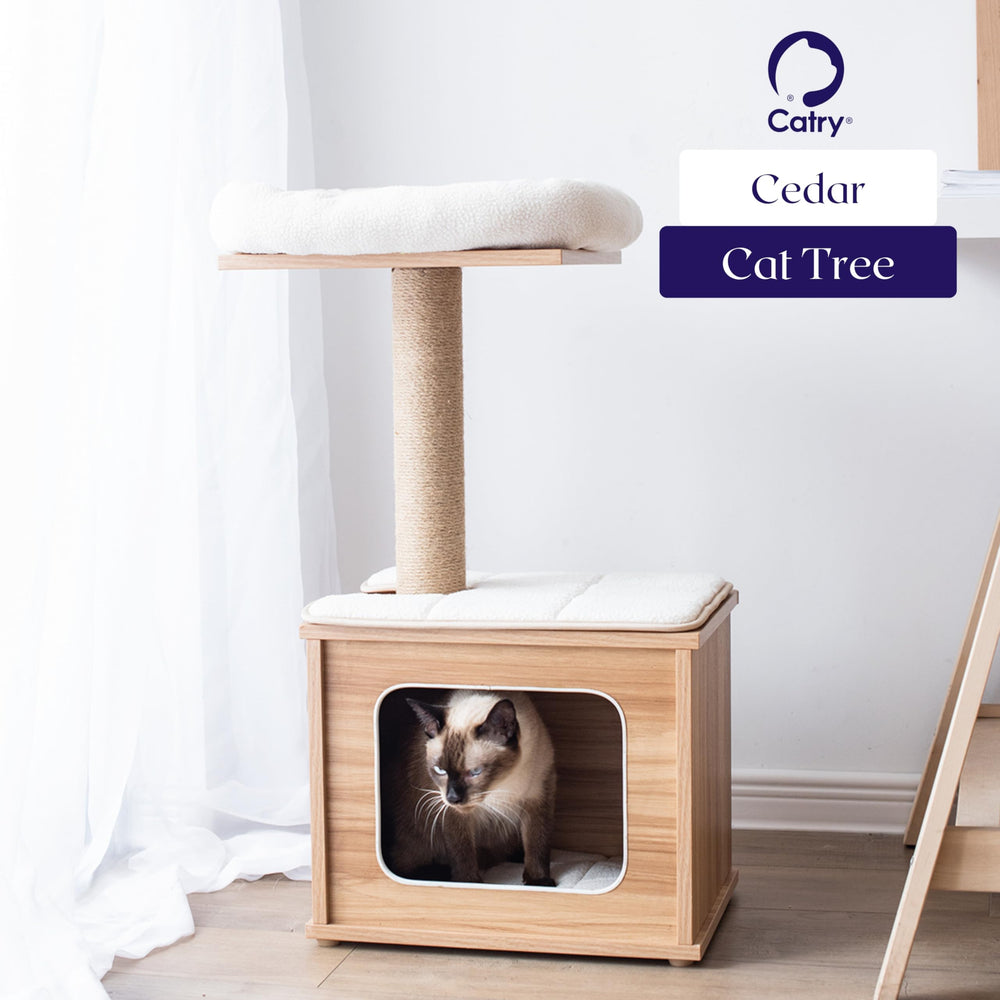 Catry small-cat use case: compact, stable play and rest space.