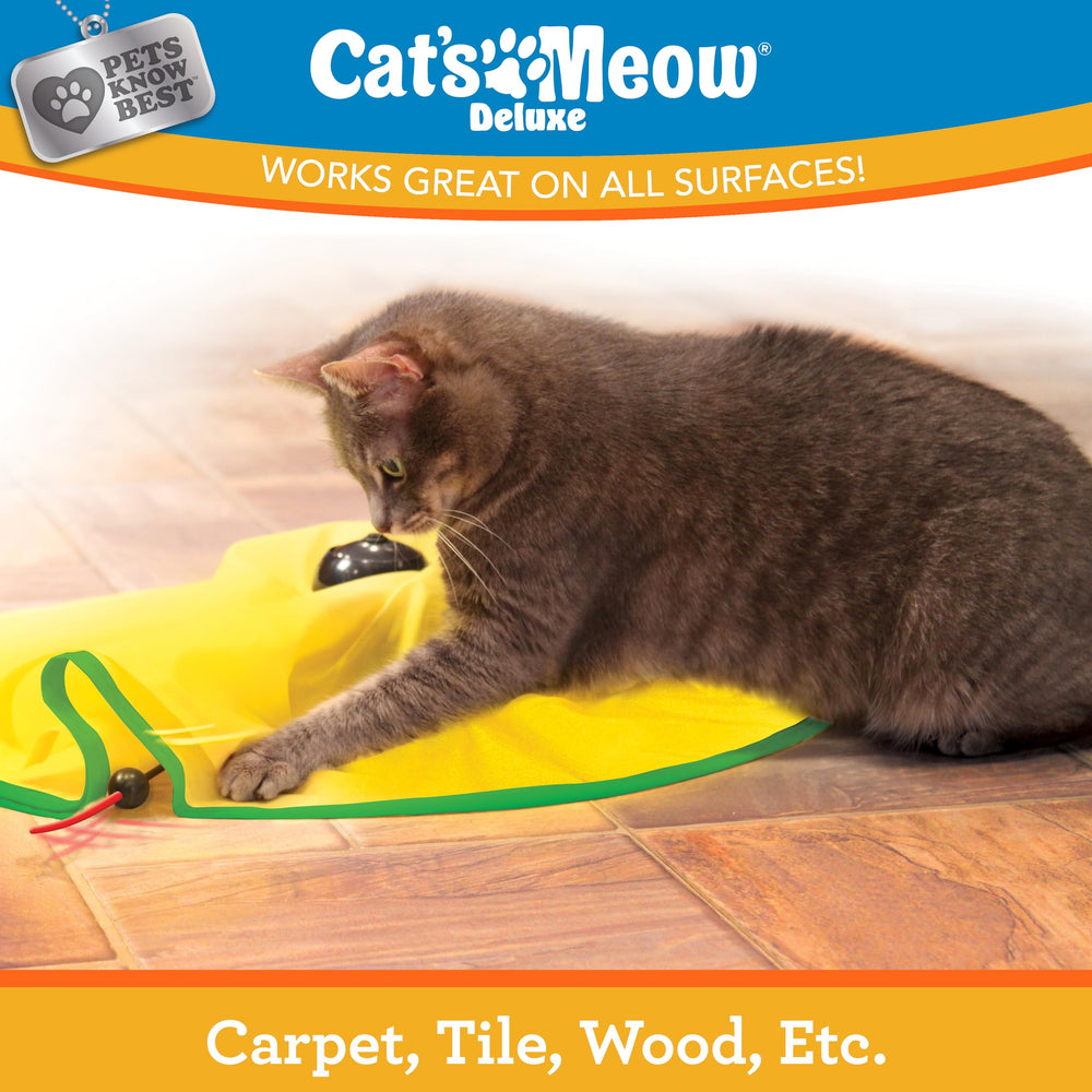 Cat's Meow 3-speed settings button for easy pace control.