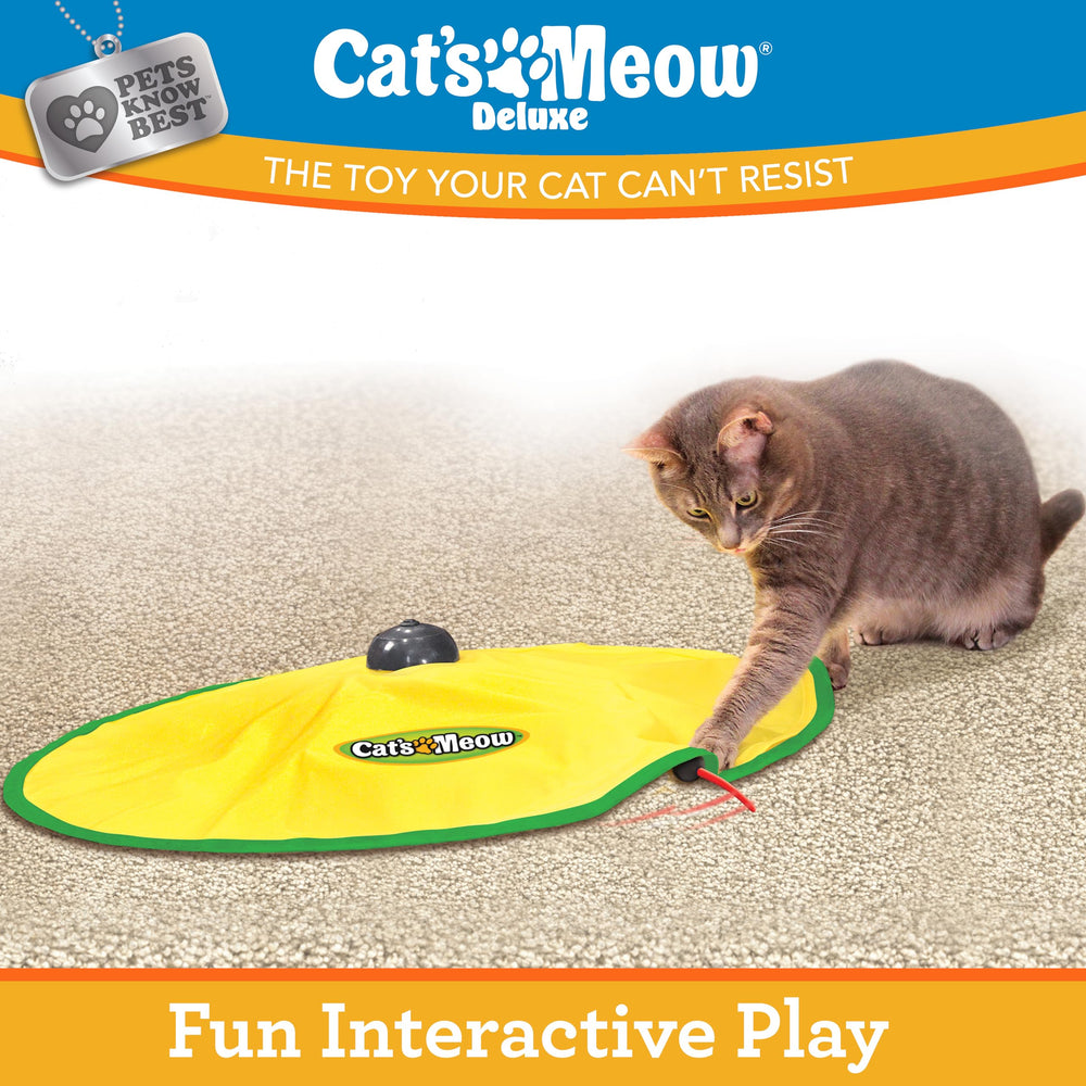 Cat's Meow battery-powered toy back view highlighting self-play.