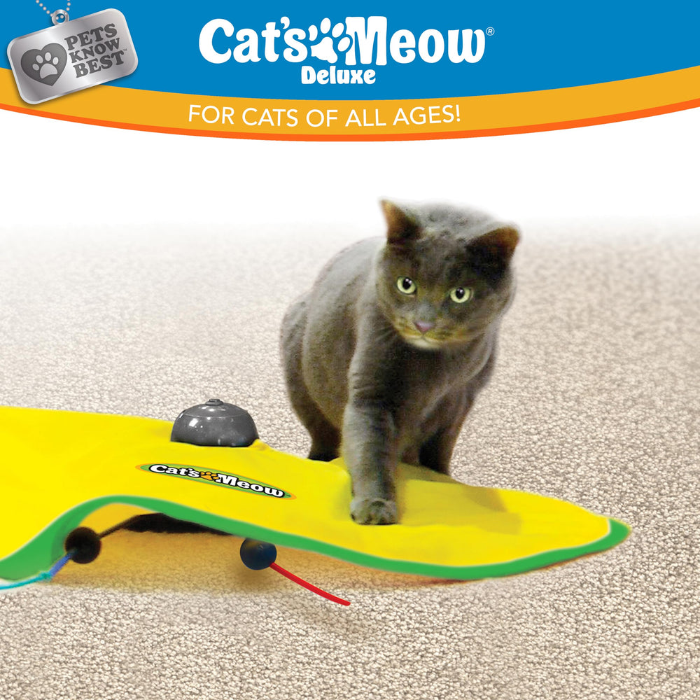 Cat's Meow cat enjoying self-play for mental stimulation.