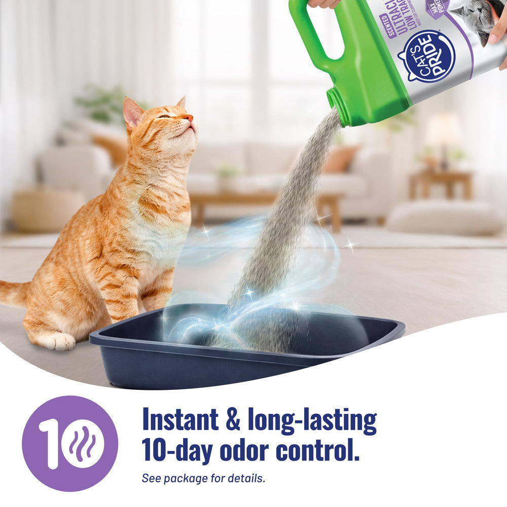 Cat's Pride 99% dust-free formula promotes cleaner floors.