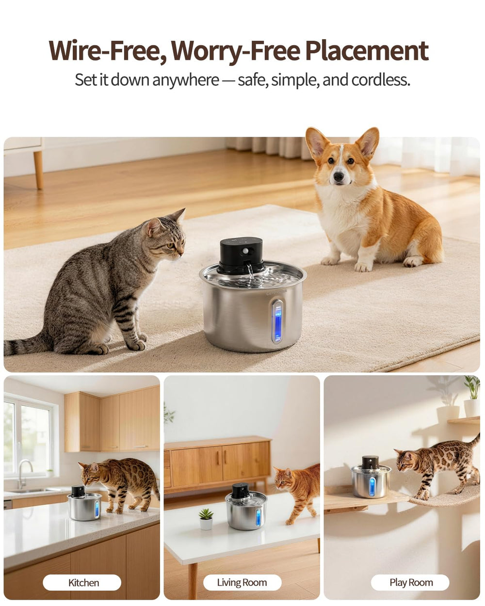 Catsfoutek 74oz water reservoir with visibility window for monitoring.