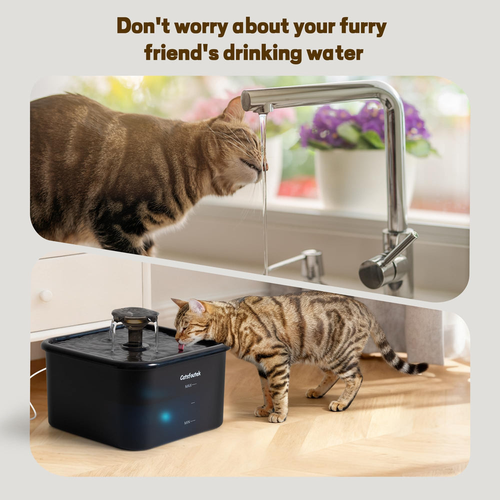 Catsfoutek pet fountain suitable for cats and small animals at home