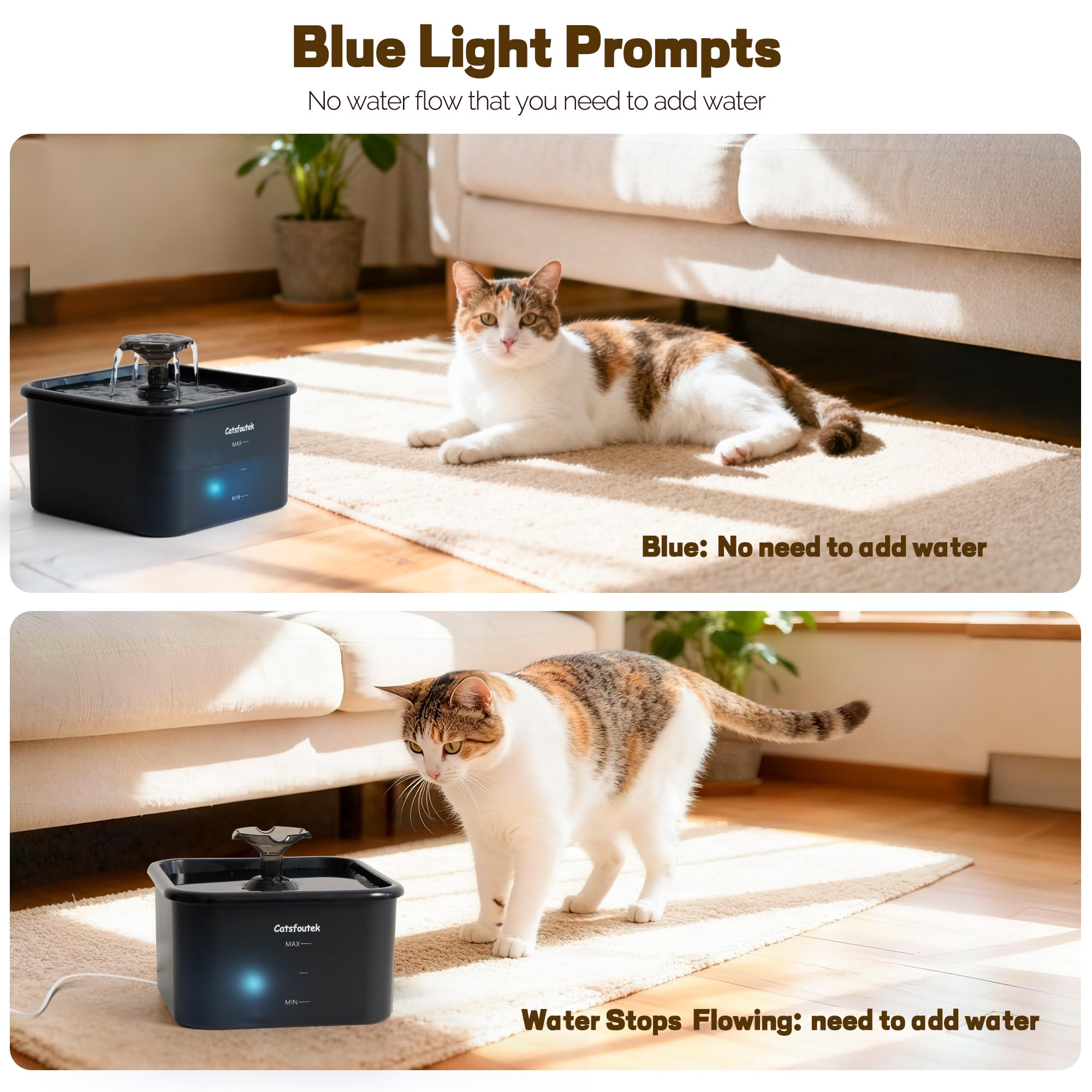 Catsfoutek ultra-quiet 5V pump keeps living spaces peaceful