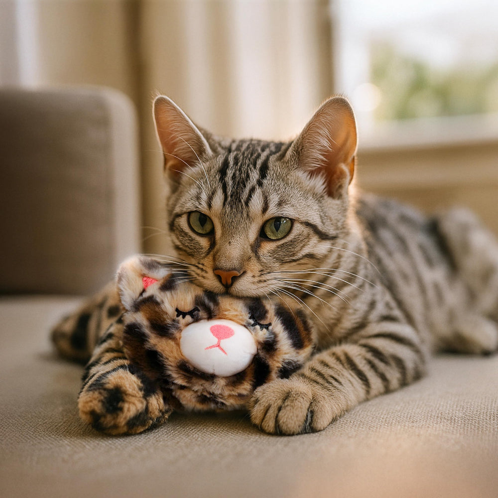 Catstages Calming Kitty Pal rescue-friendly companion for kittens and anxious cats