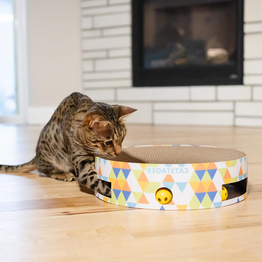 Catstages cat playing with balls demonstrates dynamic, engaging exercise opportunities.