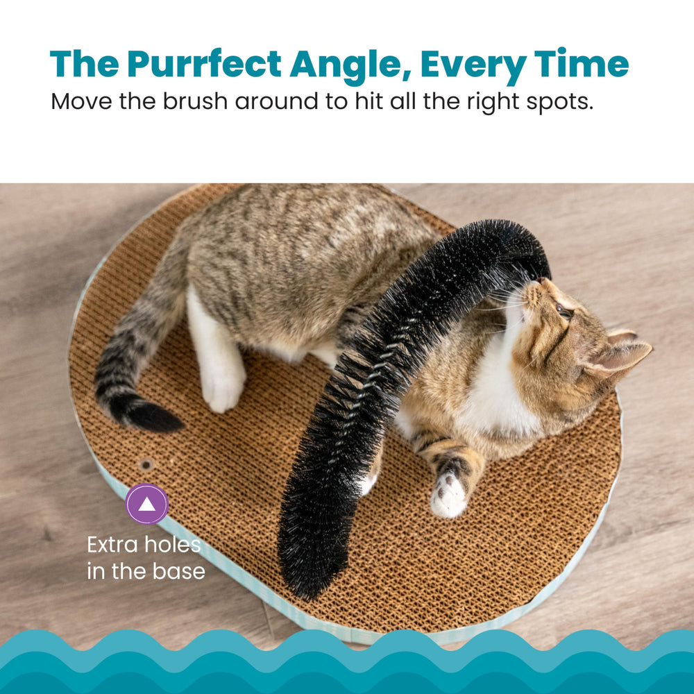 Catstages catnip-infused fun entices curious cats to groom and scratch.