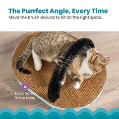 Catstages catnip-infused fun entices curious cats to groom and scratch.