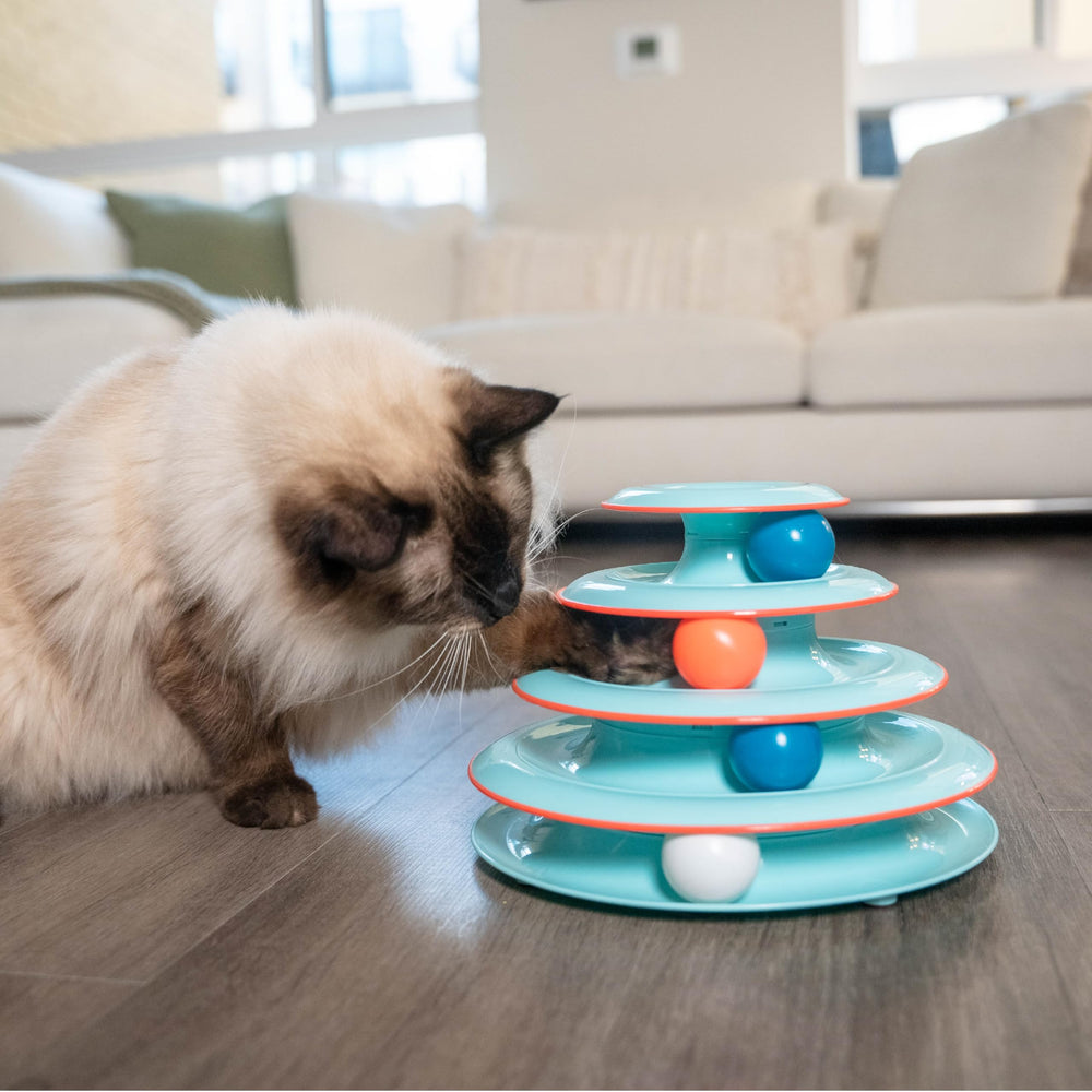 Catstages Chase Meowtain ball-closeup captures spinning action and color