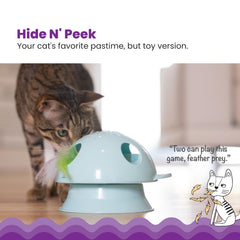 Catstages Dart N' Dash toy assembly shows easy setup with track compatibility