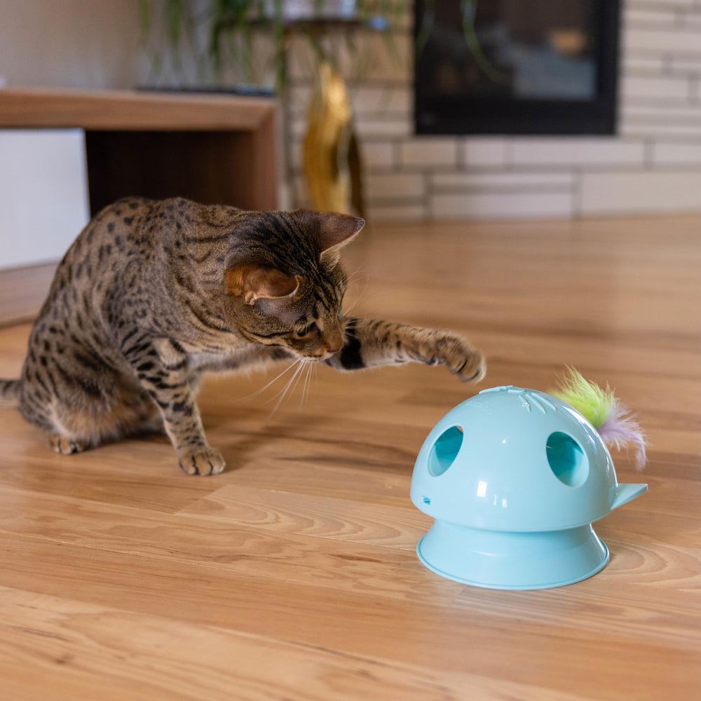 Catstages Dart N' Dash toy replacement feathers keep hunting fun