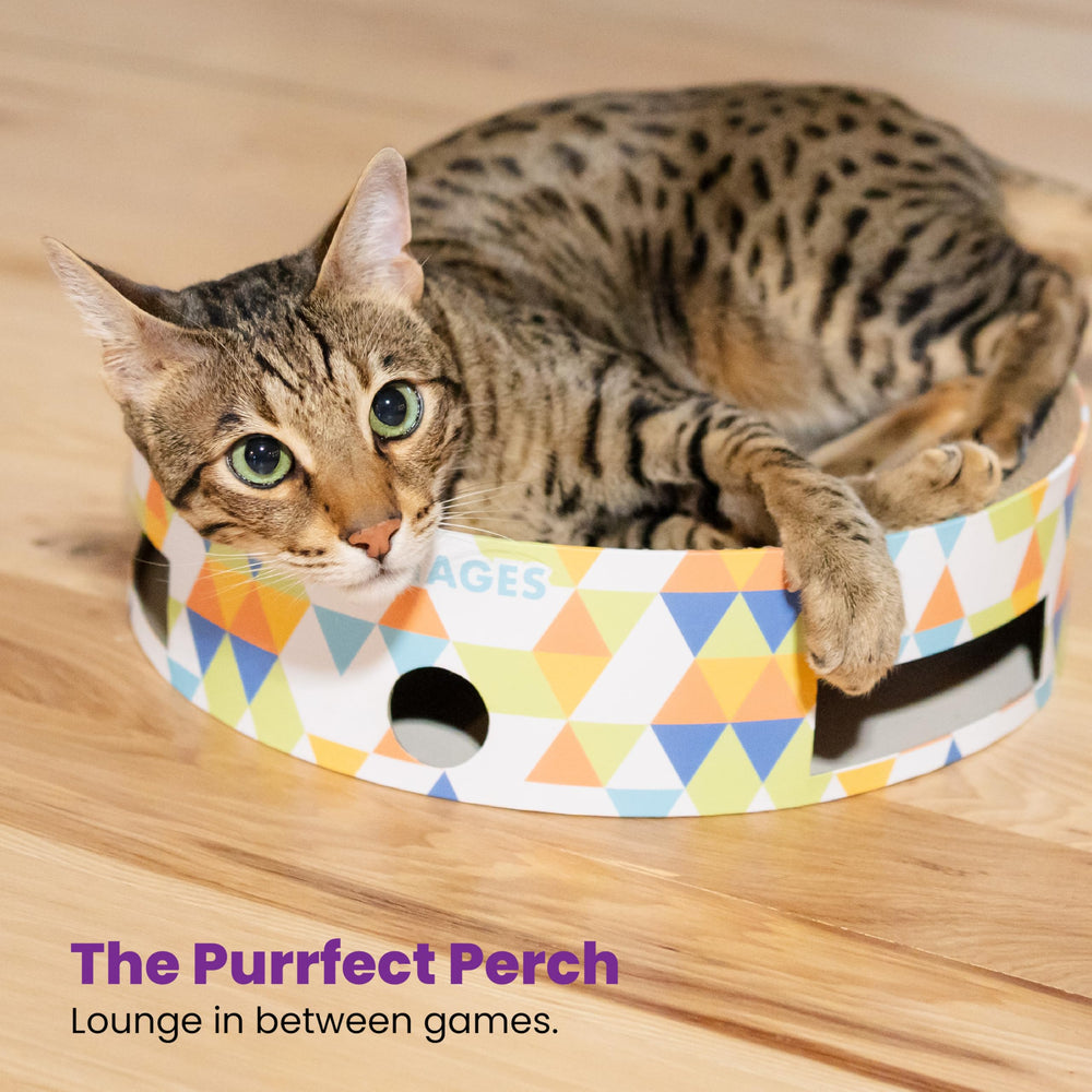 Catstages interactive ball track encourages activity and mental engagement.