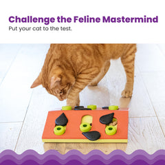 Catstages Melon Madness treat pegs reveal rewards during playtime.