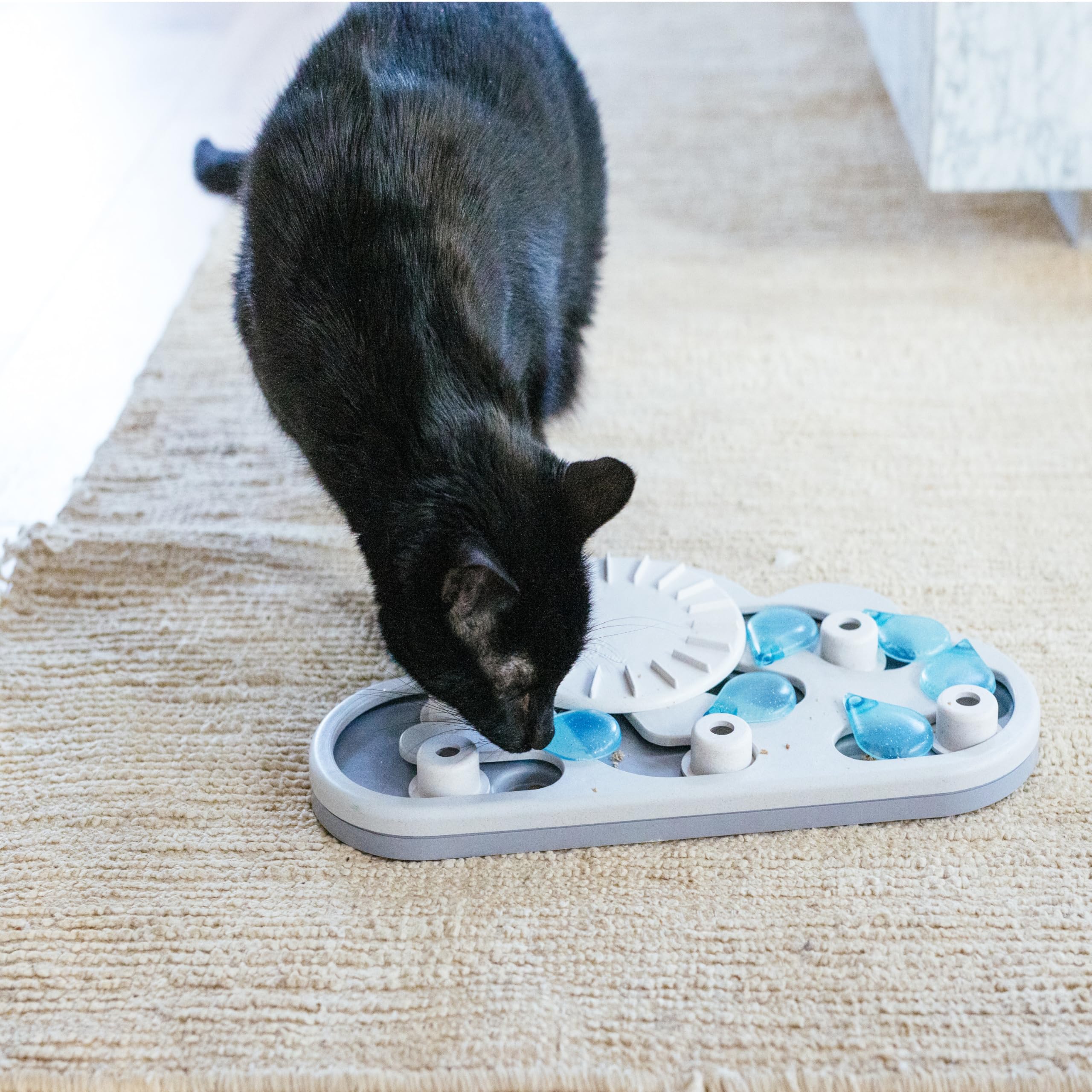 Catstages Nina Ottosson Rainy Day Puzzle offers indoor enrichment for bored cats.