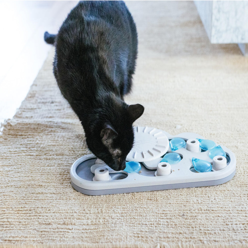 Catstages Nina Ottosson Rainy Day Puzzle offers indoor enrichment for bored cats.