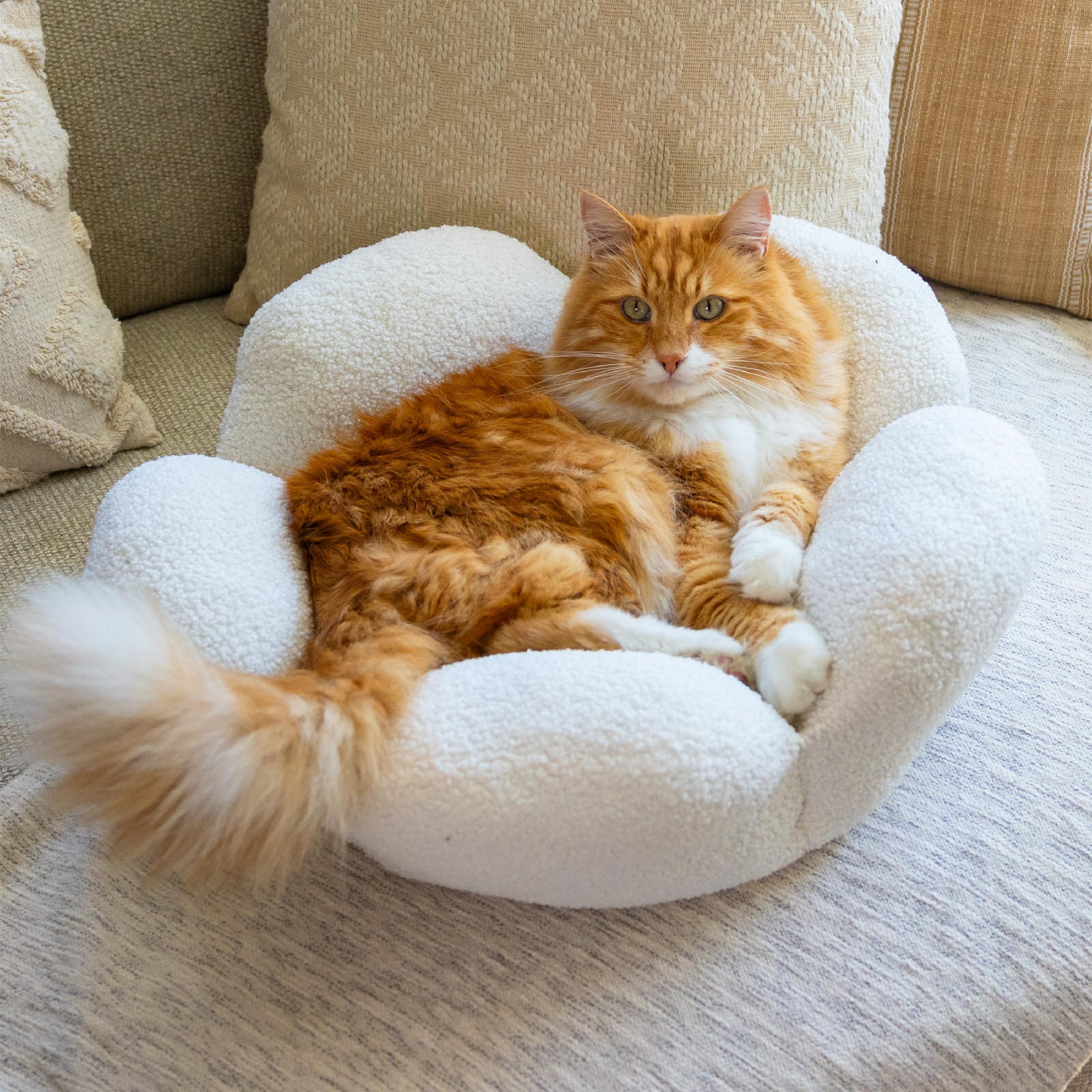 Catstages Purrfect Petals cozy interior promotes restful lounging for cats.