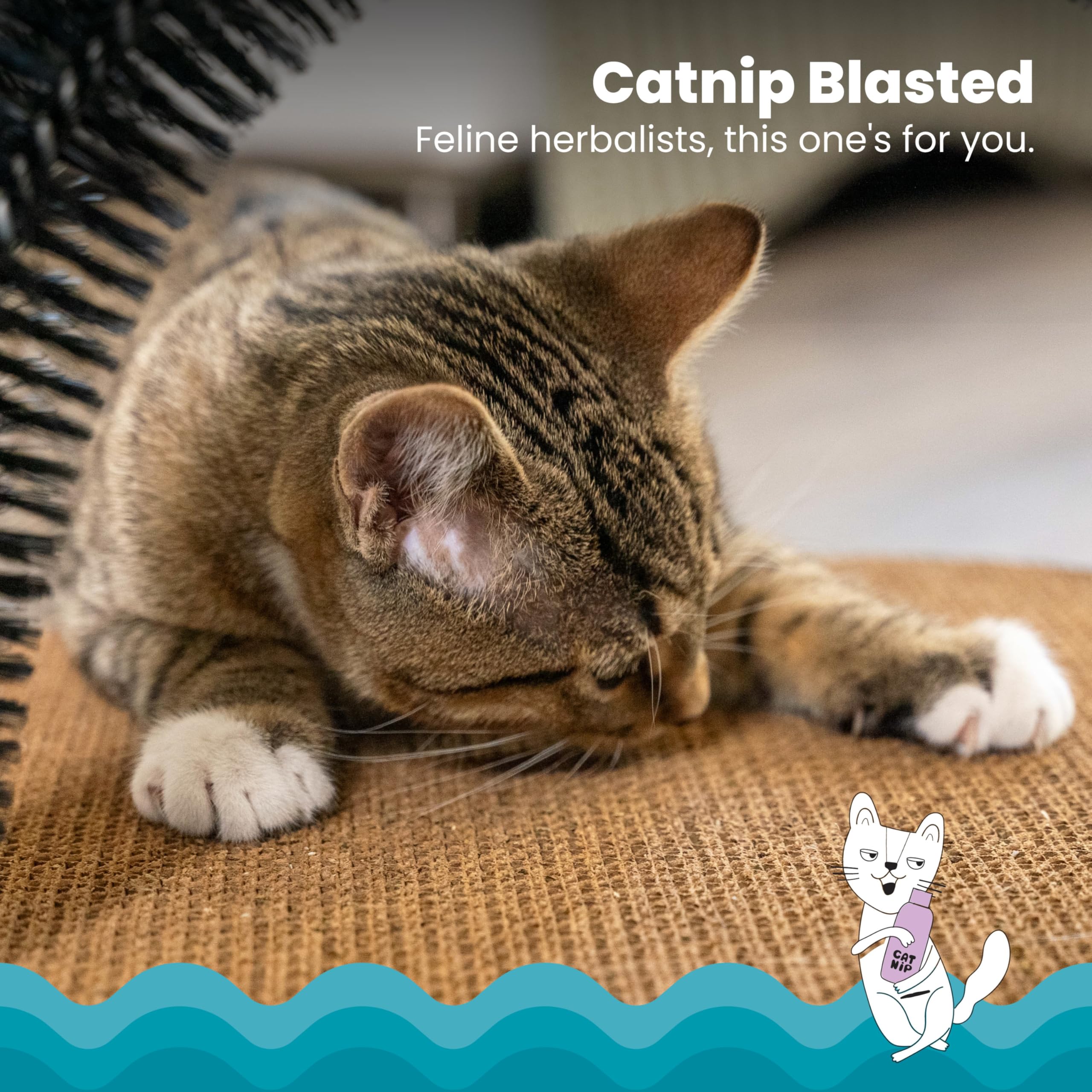 Catstages scratchable corrugate provides durable scratching for indoor cats.