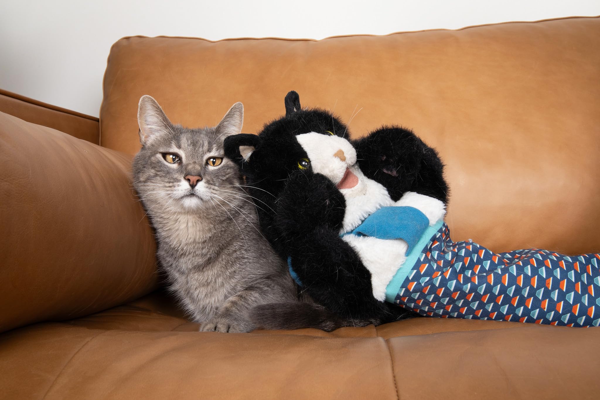 CATSUMO Cat Wrestling Glove Puppet active play encourages bonding and exercise